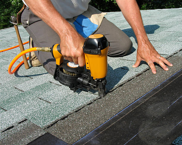 Best Roof Gutter Cleaning  in Clinton, MO